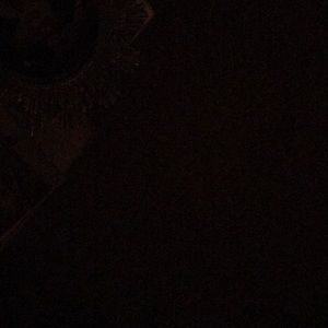 Meet your Posher, Troy